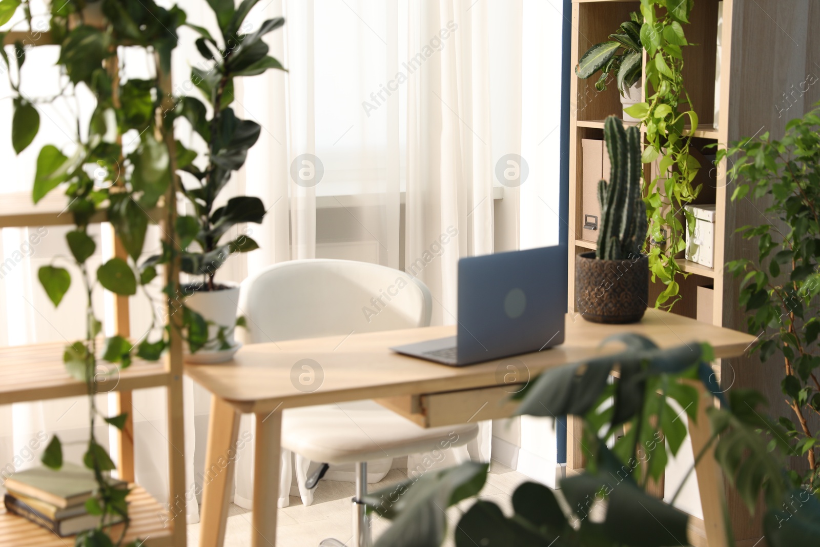 Photo of Stylish workplace with laptop on wooden desk and floral decor in office. Biophilic interior design