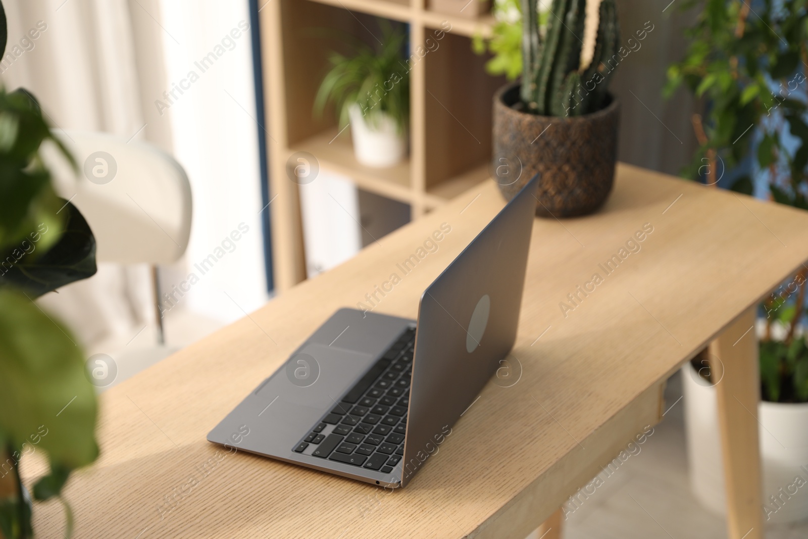 Photo of Stylish workplace with laptop on wooden desk and floral decor in office. Biophilic interior design