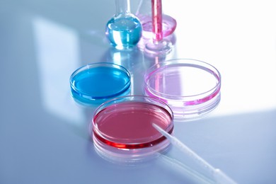 Photo of Laboratory glassware with different samples on light table, closeup