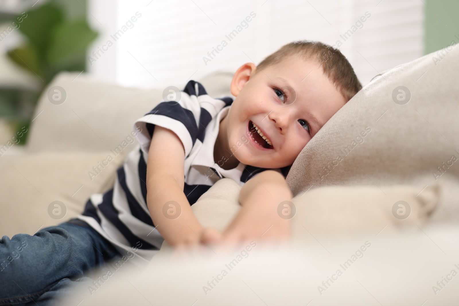 Cute little boy laughing on sofa at home Photo of Cute little boy laughing on sofa at home