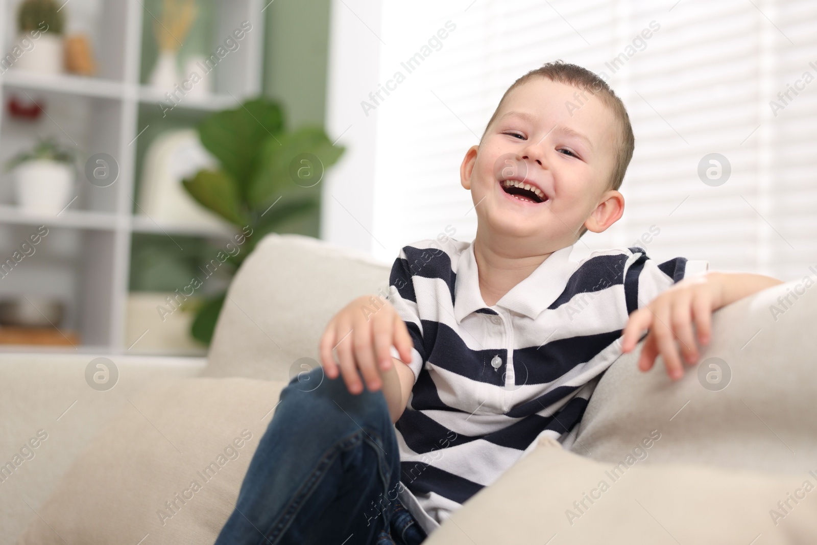 Cute little boy laughing on sofa at home. Space for text Photo of Cute little boy laughing on sofa at home. Space for text