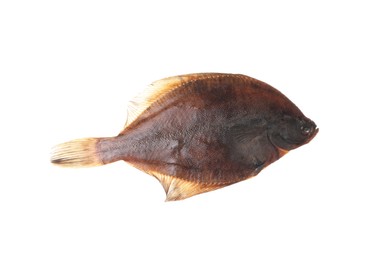Photo of Fresh raw flounder fish isolated on white, top view. Seafood