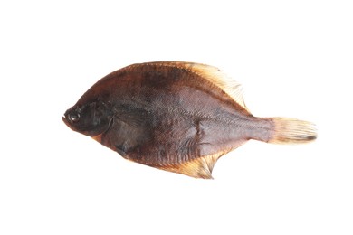 Photo of Fresh raw flounder fish isolated on white, top view. Seafood