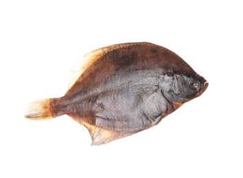 Photo of Fresh raw flounder fish isolated on white, top view. Seafood