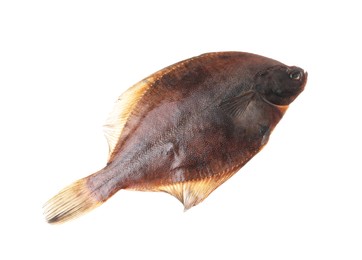Photo of Fresh raw flounder fish isolated on white, top view. Seafood