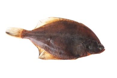 Photo of Fresh raw flounder fish isolated on white, top view. Seafood