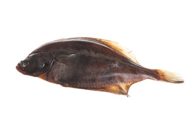 Photo of Fresh raw flounder fish isolated on white. Seafood
