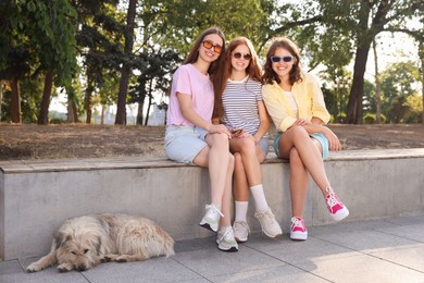 Photo of Happy friends in sunglasses on bench and stray dog in park
