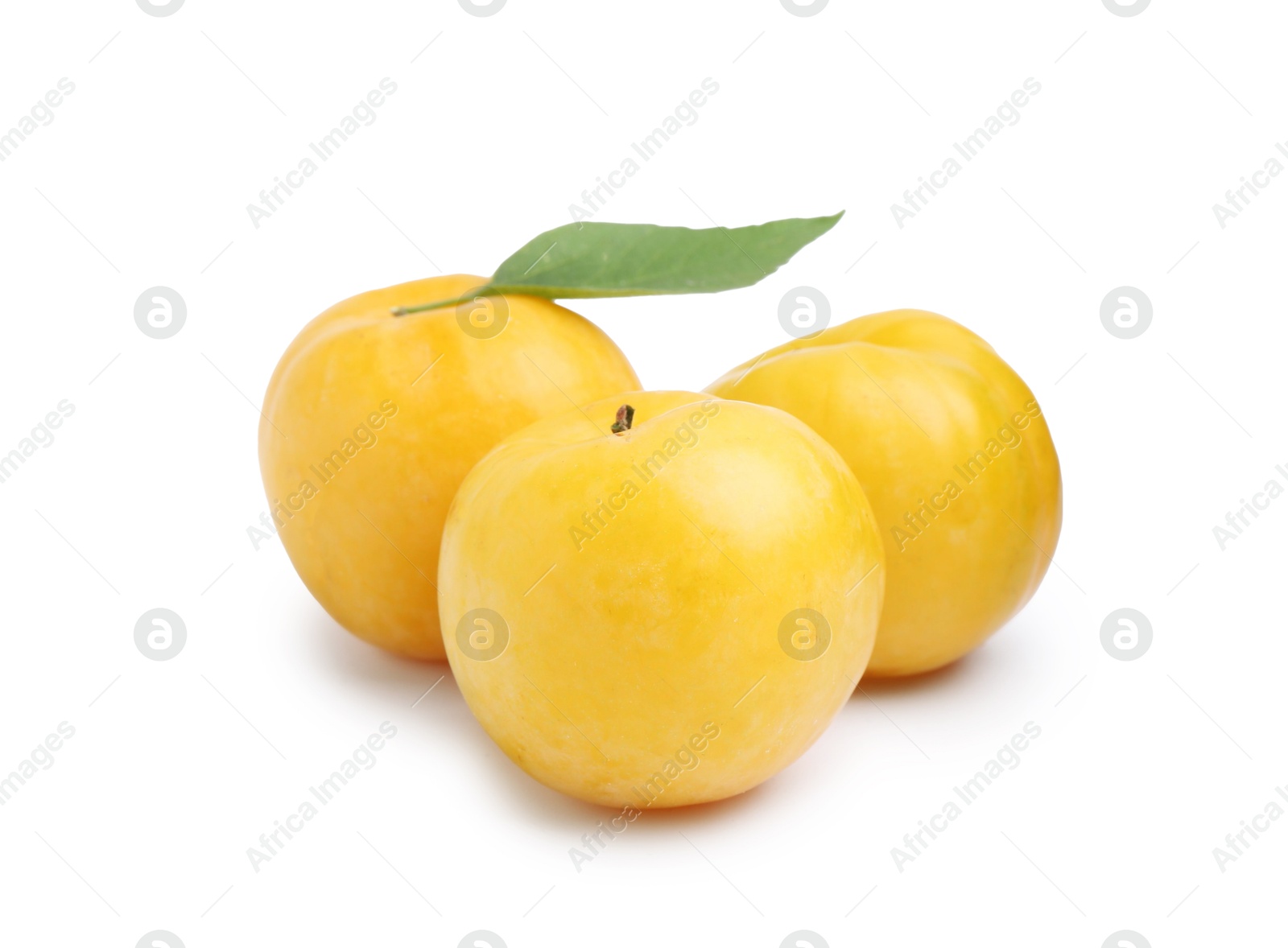 Whole ripe yellow cherry plums with leaf isolated on white Photo of Whole ripe yellow cherry plums with leaf isolated on white