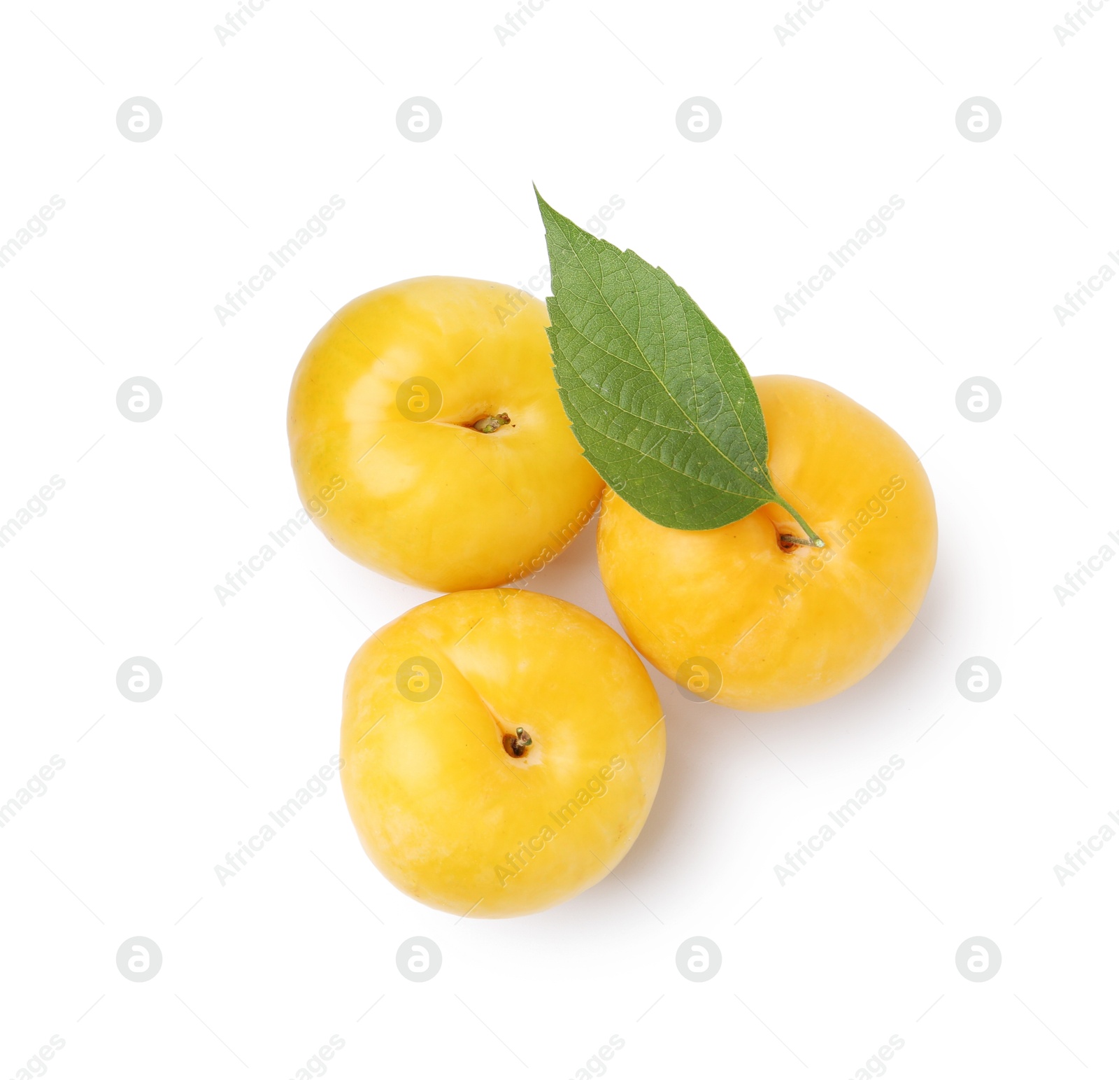 Whole ripe yellow cherry plums with leaf isolated on white, top view Photo of Whole ripe yellow cherry plums with leaf isolated on white, top view