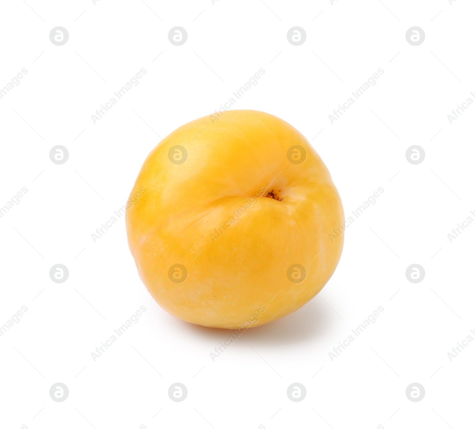 One yellow cherry plum isolated on white Photo of One yellow cherry plum isolated on white