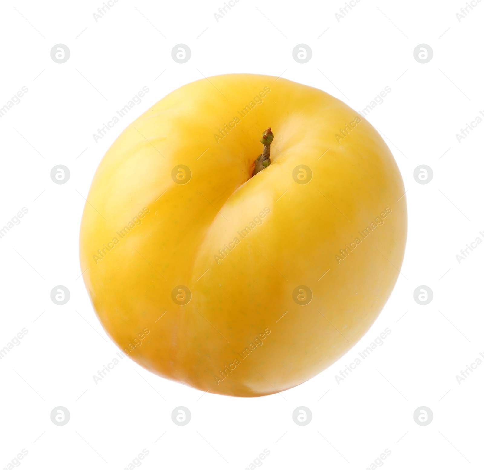 One yellow cherry plum isolated on white Photo of One yellow cherry plum isolated on white