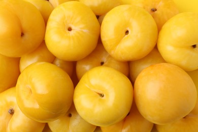 Photo of Many ripe yellow cherry plums as background, closeup