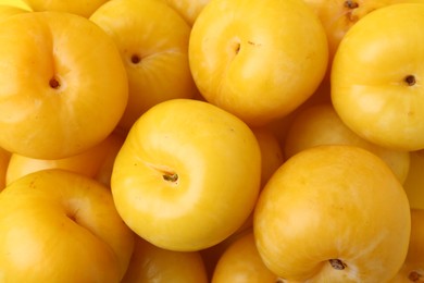 Photo of Many ripe yellow cherry plums as background, closeup