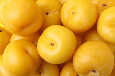 Photo of Many ripe yellow cherry plums as background, closeup