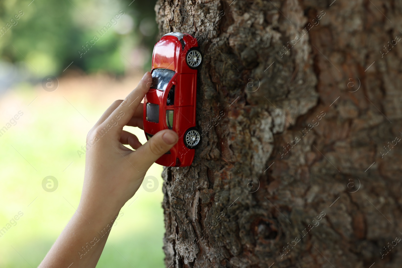 Little boy playing with toy car near tree outdoors, closeup Photo of Little boy playing with toy car near tree outdoors, closeup