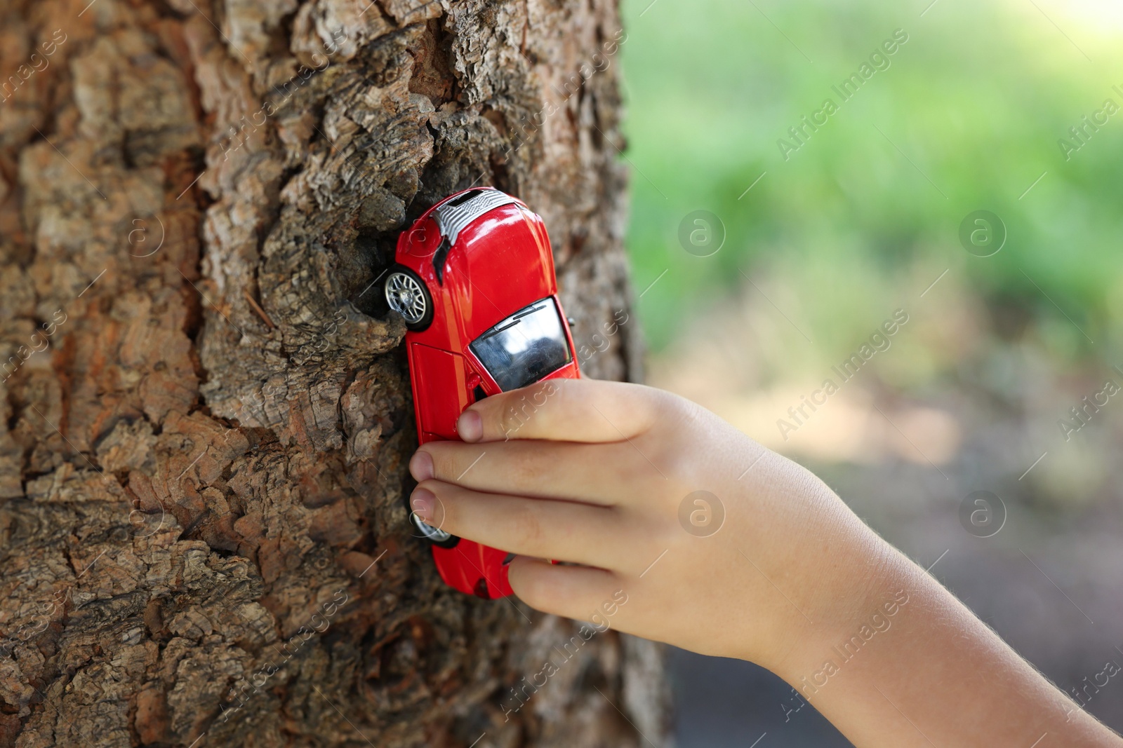 Little boy playing with toy car near tree outdoors, closeup Photo of Little boy playing with toy car near tree outdoors, closeup