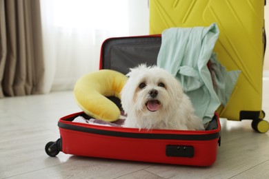 Photo of Pet hotel. Cute Maltese dog in suitcase with personal belongings on floor indoors