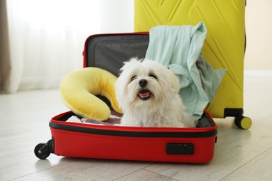 Photo of Pet hotel. Cute Maltese dog in suitcase with personal belongings on floor indoors