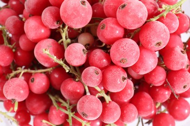 Photo of Ripe frozen red currants as background, above view