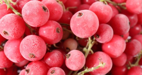 Photo of Ripe frozen red currants as background, closeup