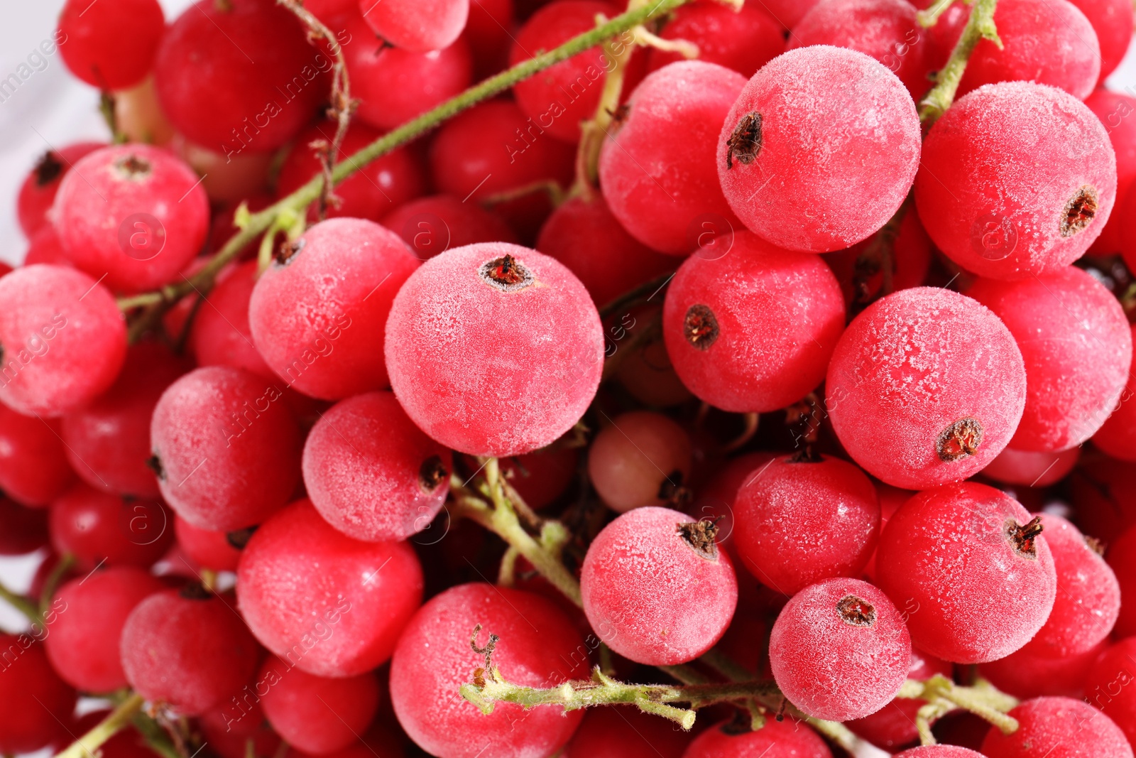 Photo of Ripe frozen red currants as background, closeup