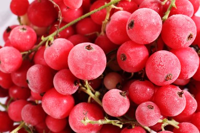 Photo of Ripe frozen red currants as background, closeup