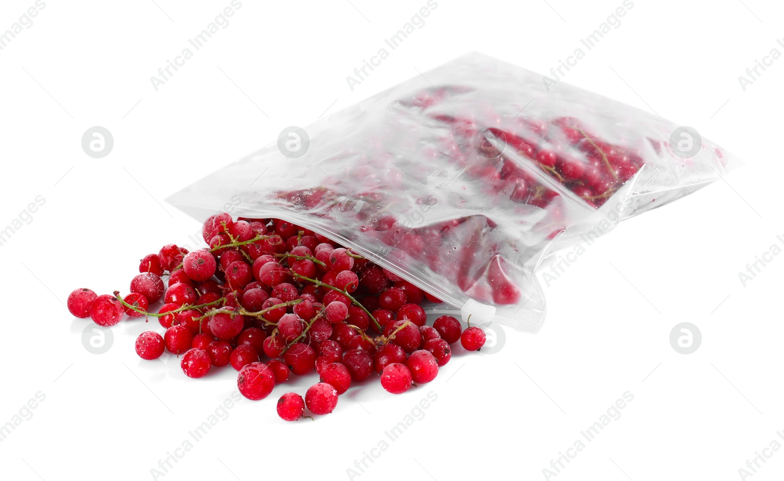 Photo of Ripe frozen red currants in open zipper bag isolated on white