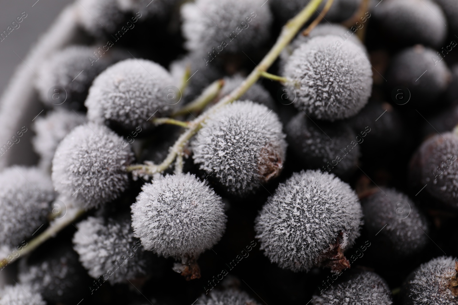 Photo of Ripe frozen black currants as background, closeup