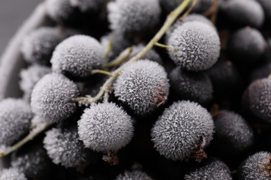 Photo of Ripe frozen black currants as background, closeup