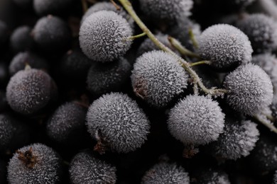 Photo of Ripe frozen black currants as background, above view