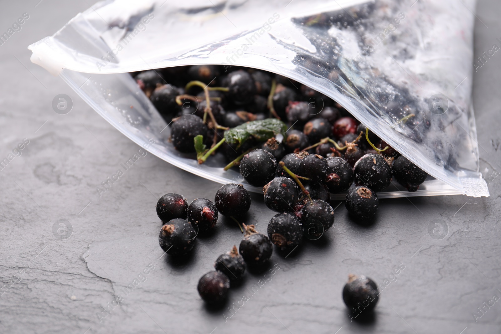 Photo of Ripe frozen black currants and open plastic bag on grey textured table, closeup