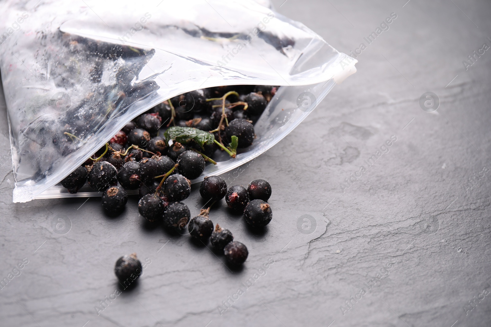 Photo of Ripe frozen black currants and open plastic bag on grey textured table, closeup
