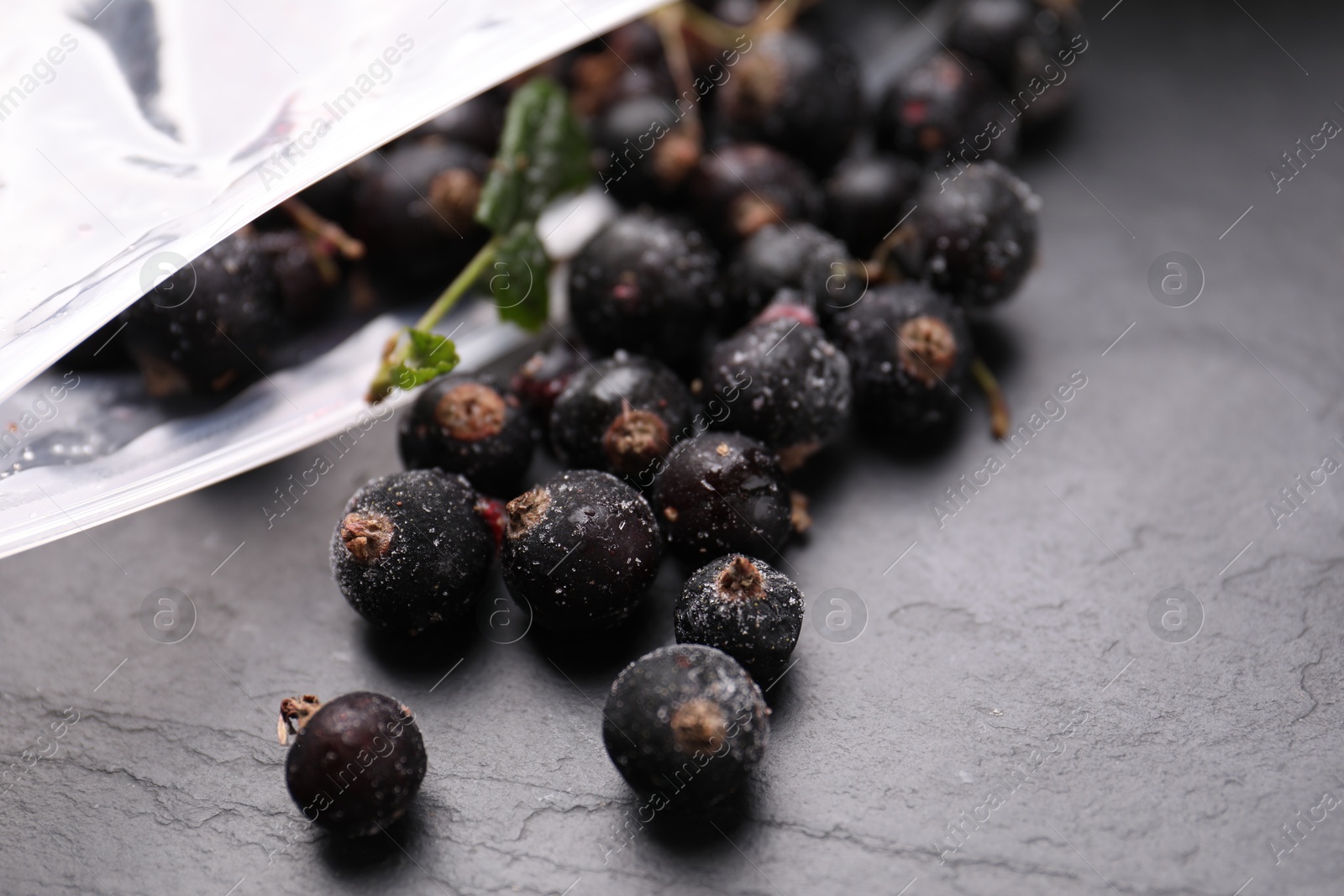 Photo of Ripe frozen black currants and open plastic bag on grey textured table, closeup