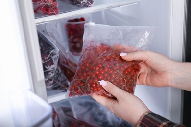 Photo of Freezing berries. Woman putting plastic bag with red currants into open fridge, closeup