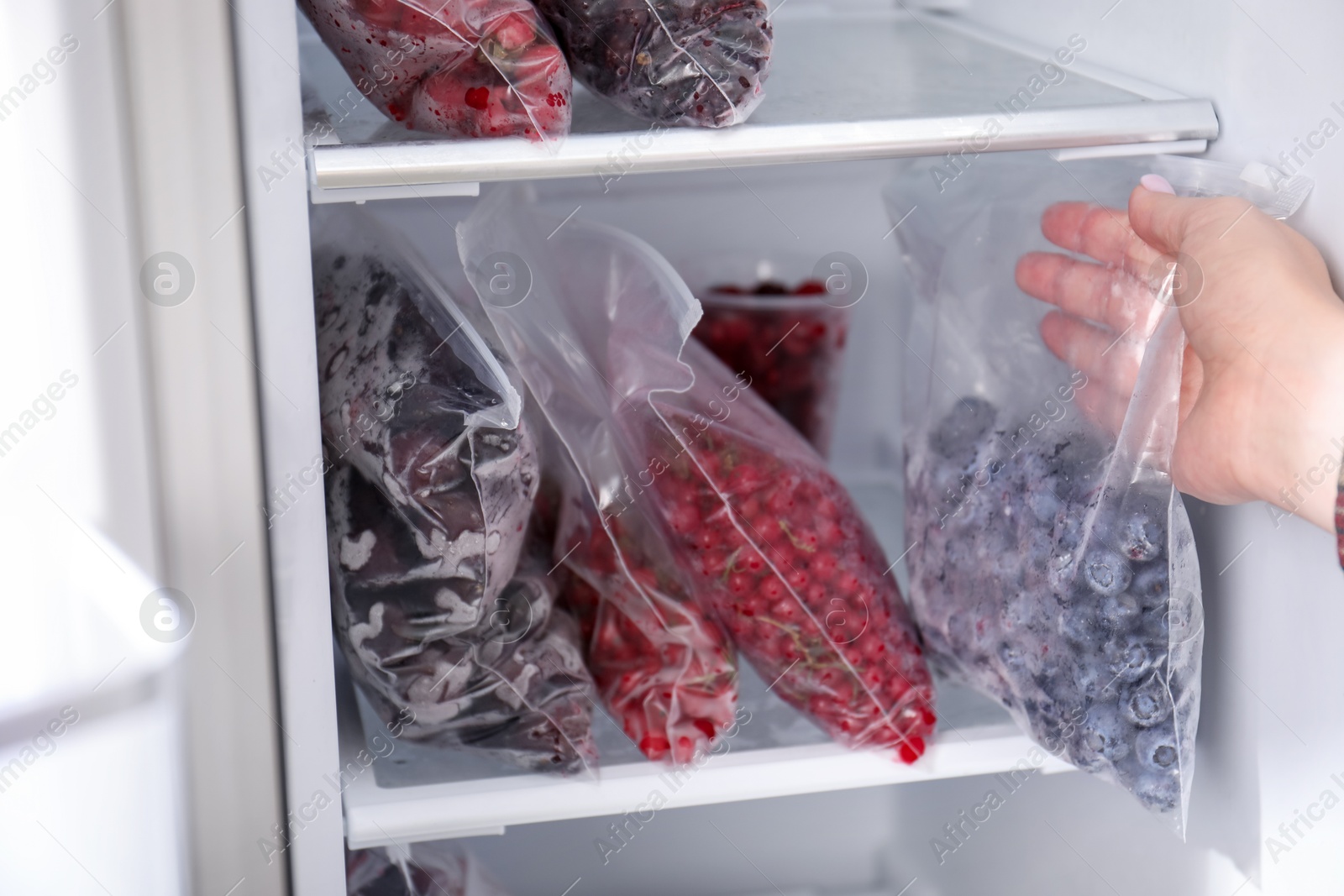 Photo of Freezing berries. Woman putting plastic bag with blueberries into open fridge, closeup