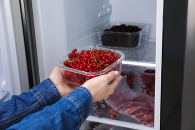 Photo of Freezing berries. Woman putting container with red currants into open fridge, closeup