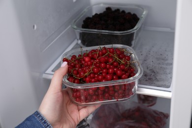 Photo of Freezing berries. Woman putting container with red currants into open fridge, closeup