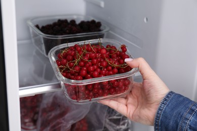 Photo of Freezing berries. Woman putting container with red currants into open fridge, closeup