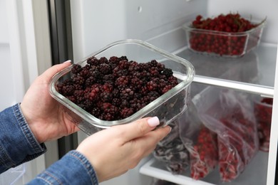 Photo of Freezing berries. Woman putting container with blackberries into open fridge, closeup
