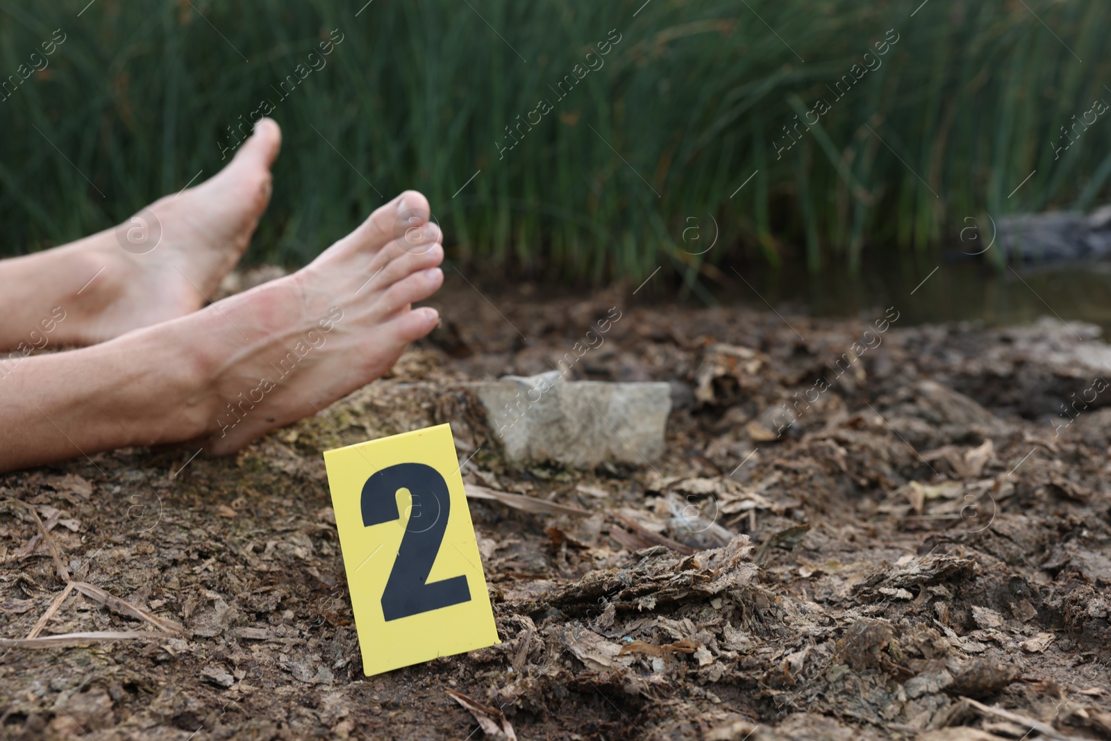 Photo of Forensic expertise. Crime scene with dead man's body and marker outdoors, closeup. Space for text