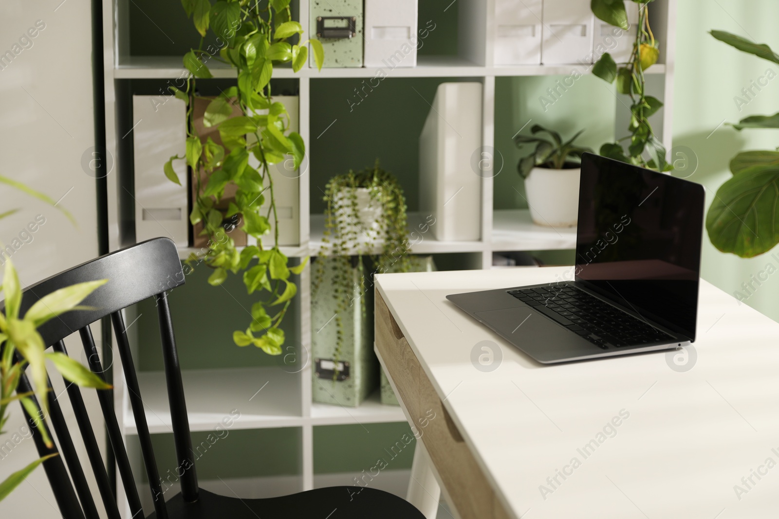 Biophilic interior design. Stylish workplace with laptop and houseplants in office Photo of Biophilic interior design. Stylish workplace with laptop and houseplants in office