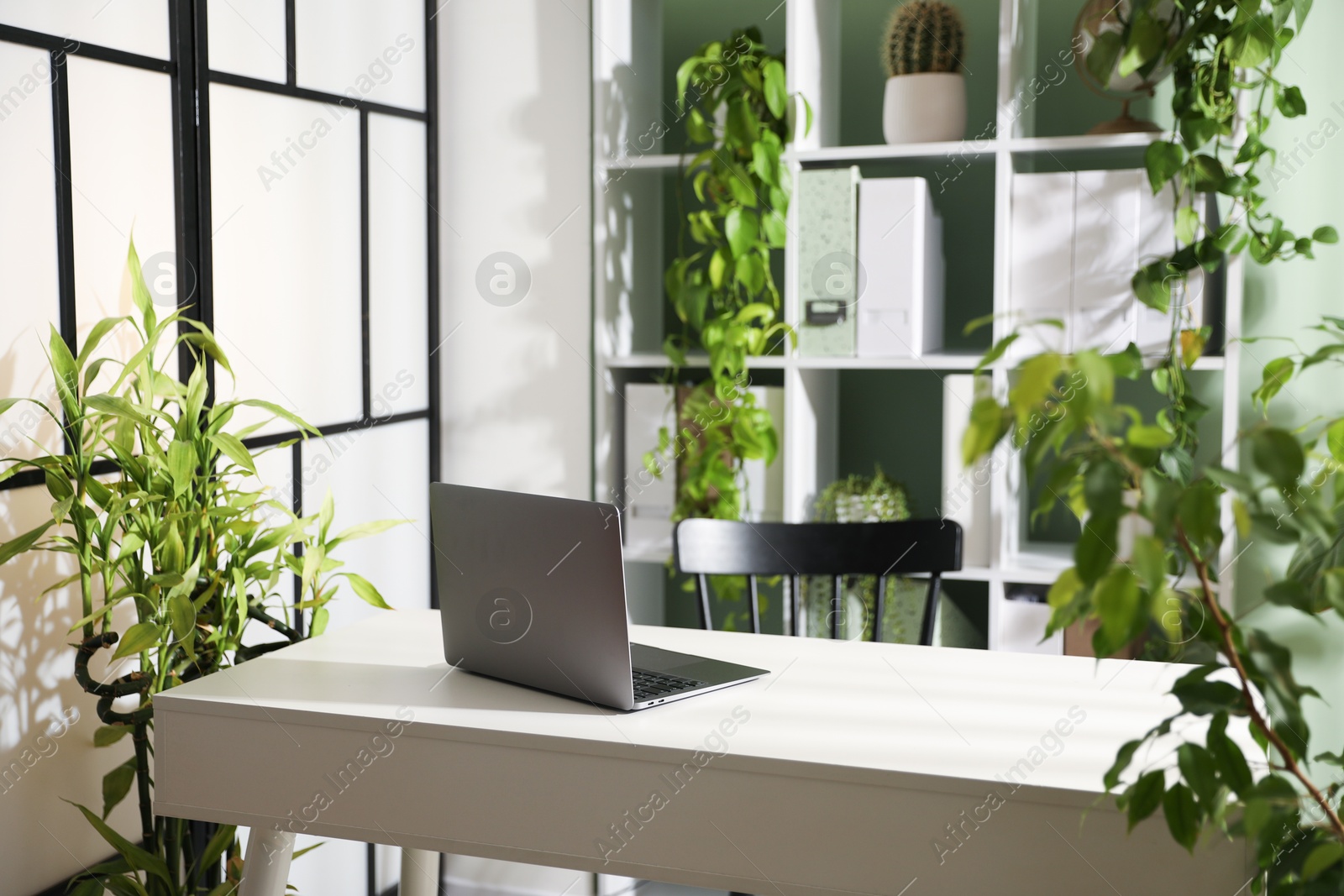 Biophilic interior design. Stylish workplace with laptop and houseplants in office Photo of Biophilic interior design. Stylish workplace with laptop and houseplants in office