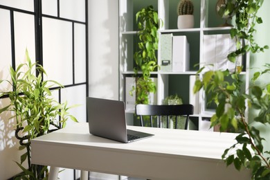 Photo of Biophilic interior design. Stylish workplace with laptop and houseplants in office