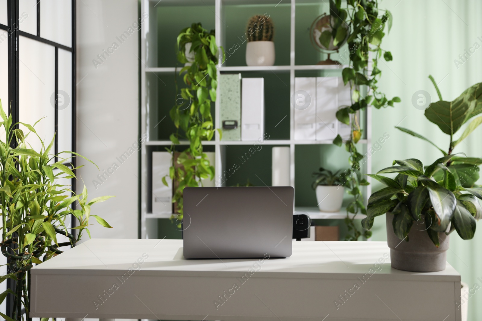 Biophilic interior design. Stylish workplace with laptop and houseplants in office Photo of Biophilic interior design. Stylish workplace with laptop and houseplants in office