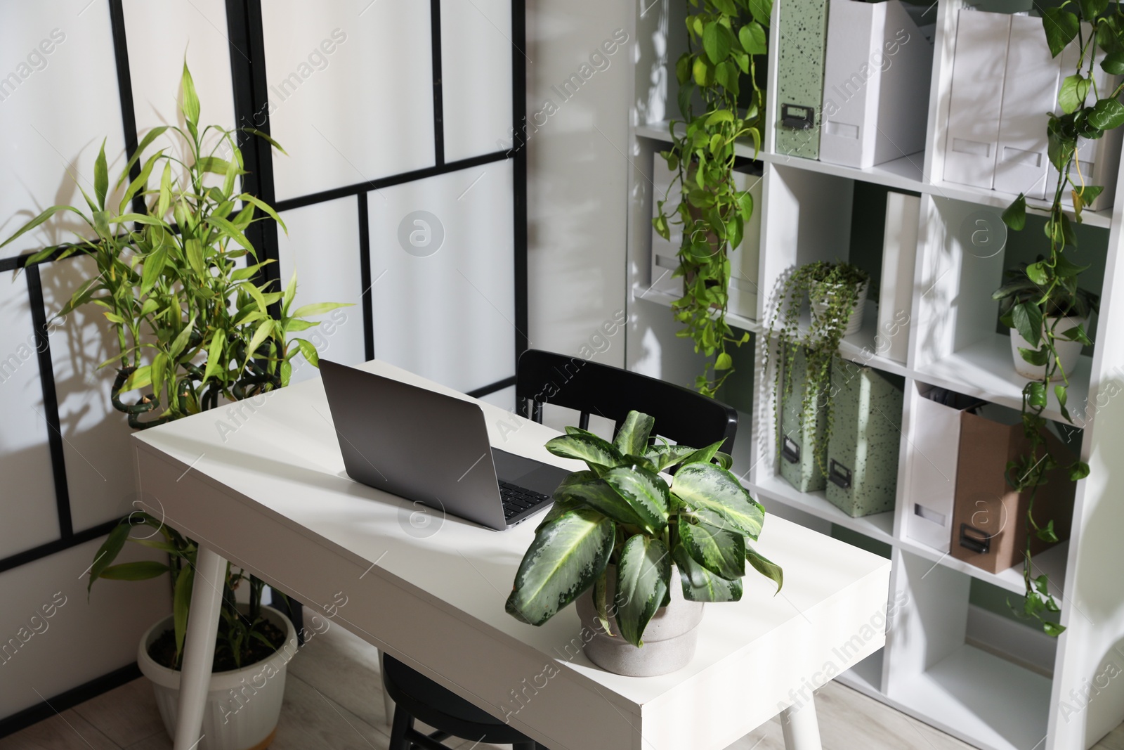 Biophilic interior design. Stylish workplace with laptop and houseplants in office Photo of Biophilic interior design. Stylish workplace with laptop and houseplants in office
