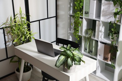 Photo of Biophilic interior design. Stylish workplace with laptop and houseplants in office