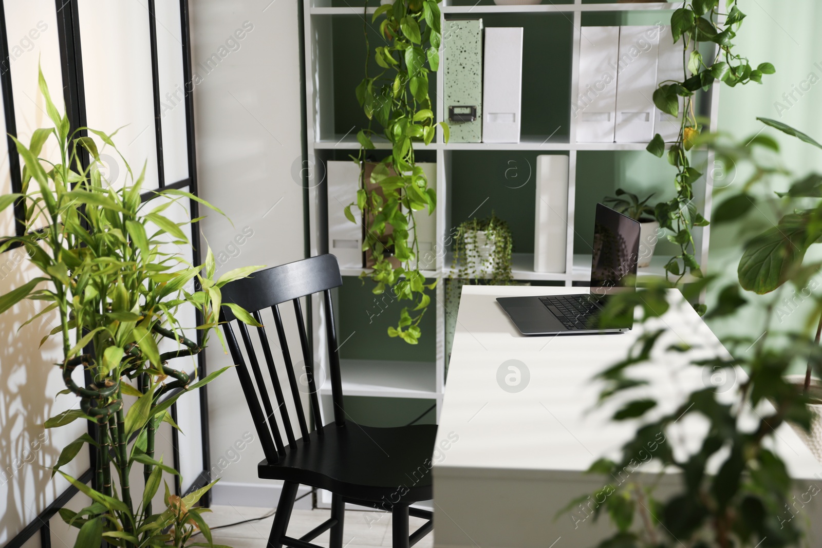 Biophilic interior design. Stylish workplace with laptop and houseplants in office Photo of Biophilic interior design. Stylish workplace with laptop and houseplants in office