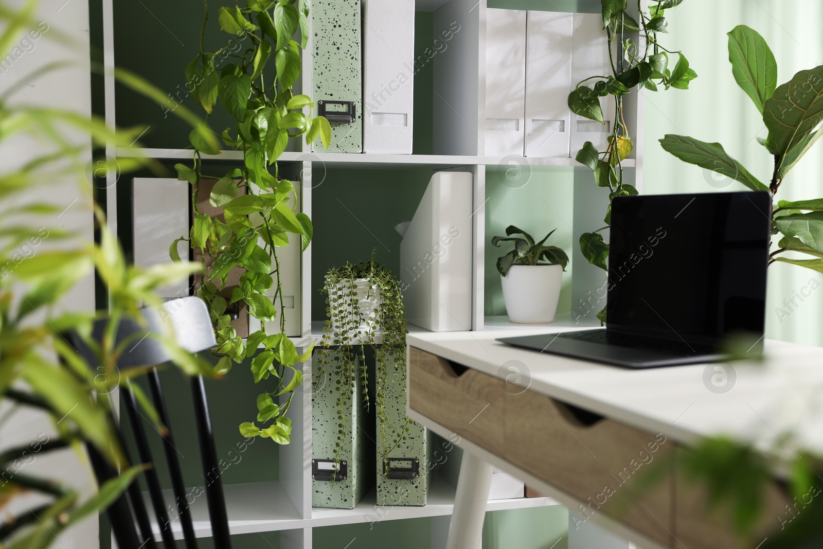 Biophilic interior design. Stylish workplace with laptop and houseplants in office Photo of Biophilic interior design. Stylish workplace with laptop and houseplants in office