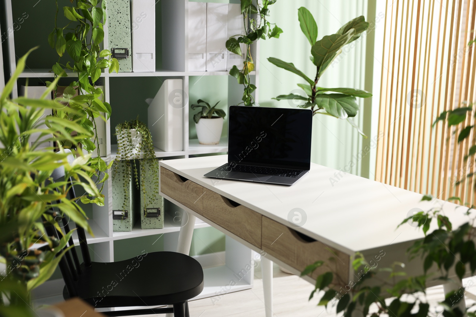Biophilic interior design. Stylish workplace with laptop and houseplants in office Photo of Biophilic interior design. Stylish workplace with laptop and houseplants in office